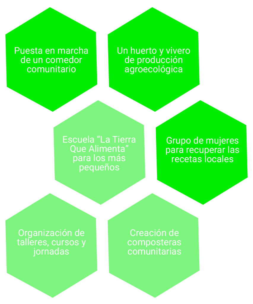 Gráfico 2 Alimentos Demos Cotec
